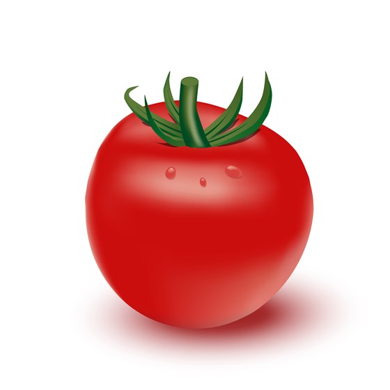 My work: Illustration